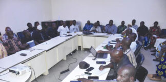 Filière sésame : le prix plancher fixé à 625 FCFA le kilogramme pour la campagne 2024-2025