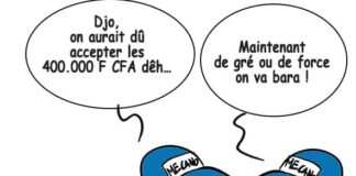 Sourire du 8-11-2024