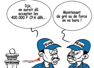 Sourire du 8-11-2024