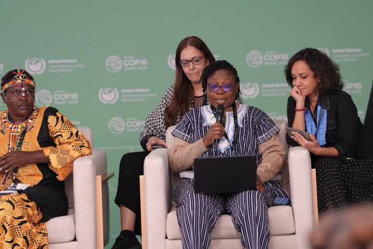 Panel sur les droits fonciers des femmes: Les solutions de Gwladys Dabiré de la coopérative Wend-Panga de Kirsi
