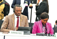 Initiative grande muraille verte : « Il faut mobiliser davantage des ressources pour les communautés », Roger Baro