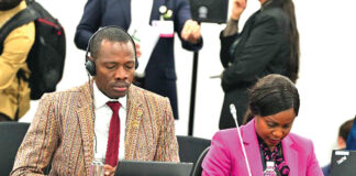 Initiative grande muraille verte : « Il faut mobiliser davantage des ressources pour les communautés », Roger Baro