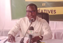 Promotion des industries culturelles : la structuration des entreprises culturelles en débat