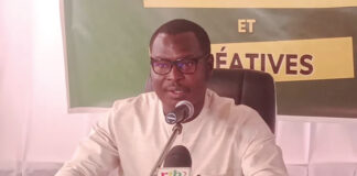 Promotion des industries culturelles : la structuration des entreprises culturelles en débat