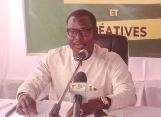 Promotion des industries culturelles : la structuration des entreprises culturelles en débat