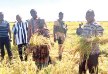 Champs expérimentaux des ministres à Bagré : une délégation gouvernementale satisfaite des cultures