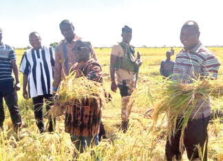 Champs expérimentaux des ministres à Bagré : une délégation gouvernementale satisfaite des cultures