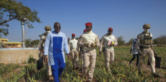 Offensive agricole : le chef de l’Etat visite un champ d’ananas