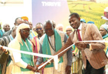 COP16 à Riyad : de l’affluence dans le stand du Burkina Faso