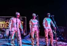 Festival Wed-bindé 2024 : la résilience par la culture