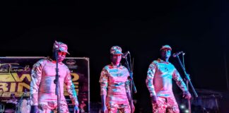 Festival Wed-bindé 2024 : la résilience par la culture