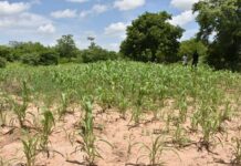 Projet de budget de l’Etat 2025 : Le regard citoyen de la société civile