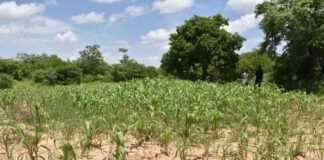 Projet de budget de l’Etat 2025 : Le regard citoyen de la société civile