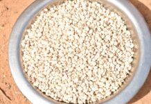 Variétés améliorées du niébé : « Komcallé », l’espoir des déplacés internes de Boussouma