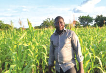 Assurance agricole : un rempart contre les aléas climatiques