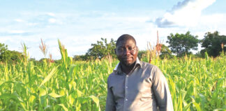 Assurance agricole : un rempart contre les aléas climatiques