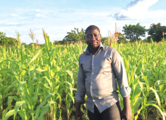 Assurance agricole : un rempart contre les aléas climatiques