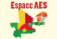 Lutte contre le terrorisme au Mali : un haut cadre de l’EIGS capturé à Tagadeyate