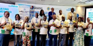 Awards des REMAPSEN : Madina Belémviré de bulletin santé lauréate du 1er « Prix Michel Sidibé » presse en ligne