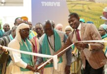 COP16 à Riyad : une forte affluence au stand du Burkina Faso