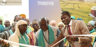 COP16 à Riyad : une forte affluence au stand du Burkina Faso