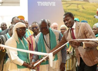 COP16 à Riyad : une forte affluence au stand du Burkina Faso