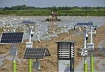 Expérimenter la « vitesse chinoise » dans les terres agricoles