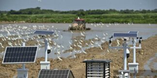 Expérimenter la « vitesse chinoise » dans les terres agricoles