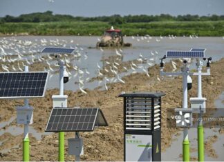Expérimenter la « vitesse chinoise » dans les terres agricoles