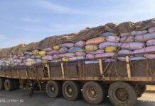 Plateau centra:l : 625 sacs d’amandes de karité interceptés