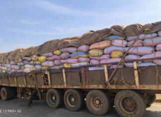 Plateau centra:l : 625 sacs d’amandes de karité interceptés