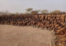 Burkina Faso : 918 nouveaux VDP prêts à défendre la patrie