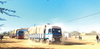 Djibo: Près de 200 camions ravitaillent la ville