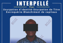 Usurpation de titre, d’identité, escroquerie et blanchiment de capitaux: un faux douanier aux arrêts