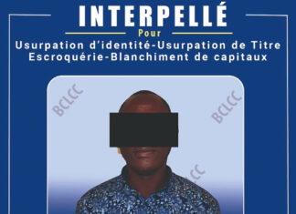 Usurpation de titre, d’identité, escroquerie et blanchiment de capitaux: un faux douanier aux arrêts