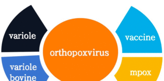 Pas de panique face au mpox