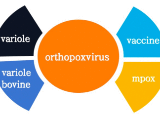 Pas de panique face au mpox