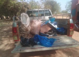 Boromo: 155kg de poissons avariés saisis et détruits