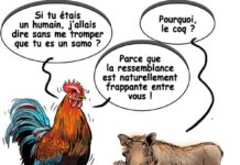 Sourire du 04-12-2024