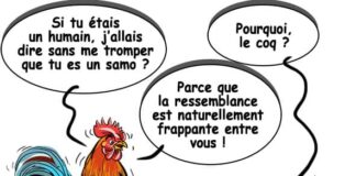 Sourire du 04-12-2024