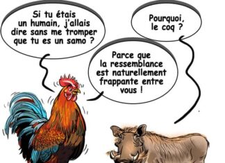 Sourire du 04-12-2024
