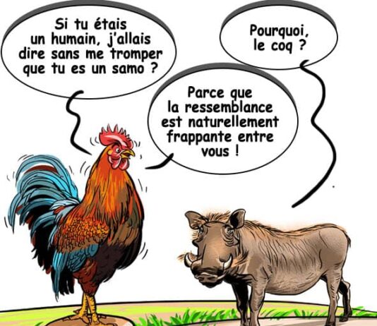 Sourire du 04-12-2024