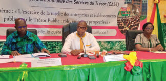 Sociétés et Etablissements publics: des recommandations pour une gouvernance vertueuse