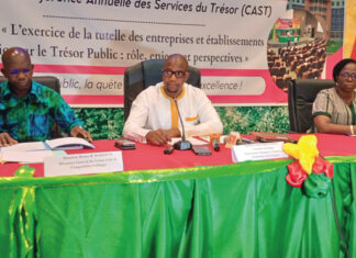 Sociétés et Etablissements publics: des recommandations pour une gouvernance vertueuse