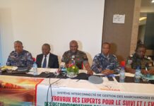 Transit dans l’espace AES : des experts évaluent les interconnexions des systèmes informatiques douaniers