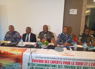 Transit dans l’espace AES : des experts évaluent les interconnexions des systèmes informatiques douaniers