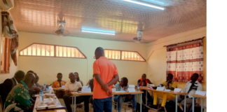 Renforcer les DSSR dans la Boucle du Mouhoun : Un engagement de la CAPSSR pour un avenir meilleur