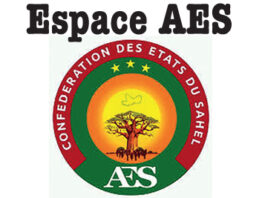 Minkoro Kané, général de brigade à la retraite : « la force conjointe de l’AES va atteindre jusqu’à 300 000 hommes »