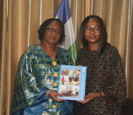 Communiqué de la FAO : La Burkinabè Dr Irène Ouoba prend fonction à Bangui comme représentante de l’Organisation des Nations unies pour l’alimentation et l’agriculture (FAO) en République Centrafricaine