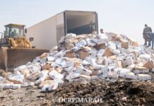 Ouagadougou : Plus de 26 tonnes de poissons avariés saisies et détruites